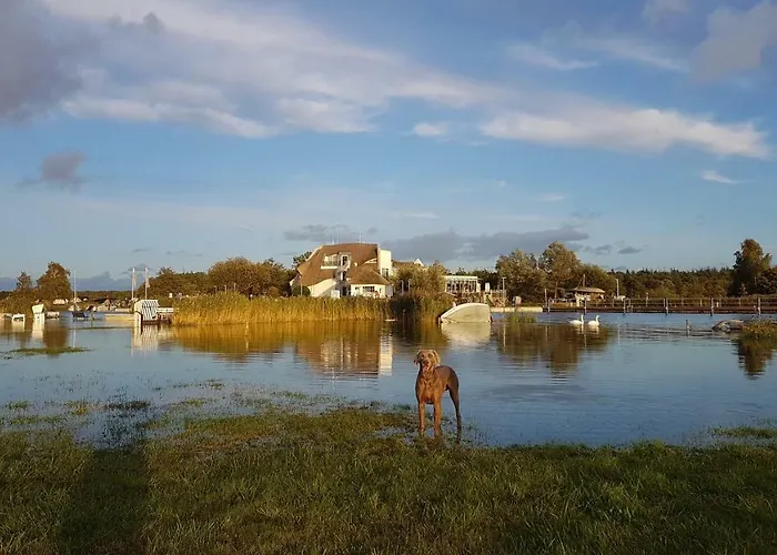 Louisa - Liegestuhl 45 Apartment